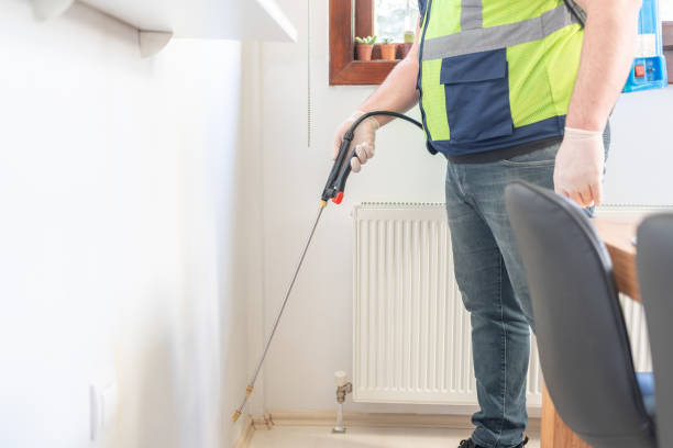 Reliable Grafton, WV Pest Control Solutions